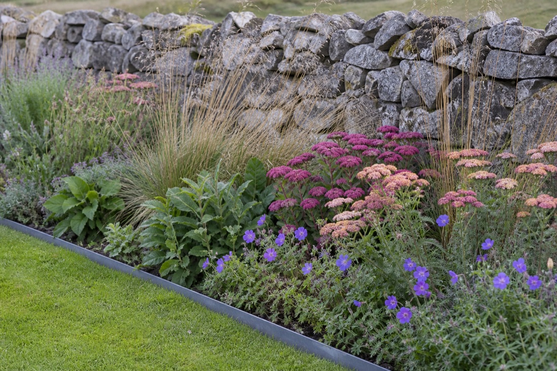Newly planted border of grasses and perennials with steel edging against a dry stone wall
