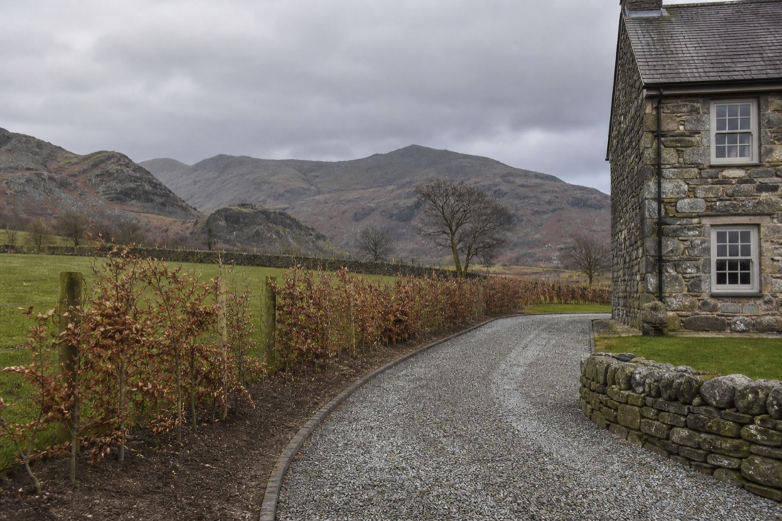 Newly edged gravel track and young beech hedge beside a stone farmhouse with fells behind